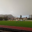 FC Waldkirch e.V.