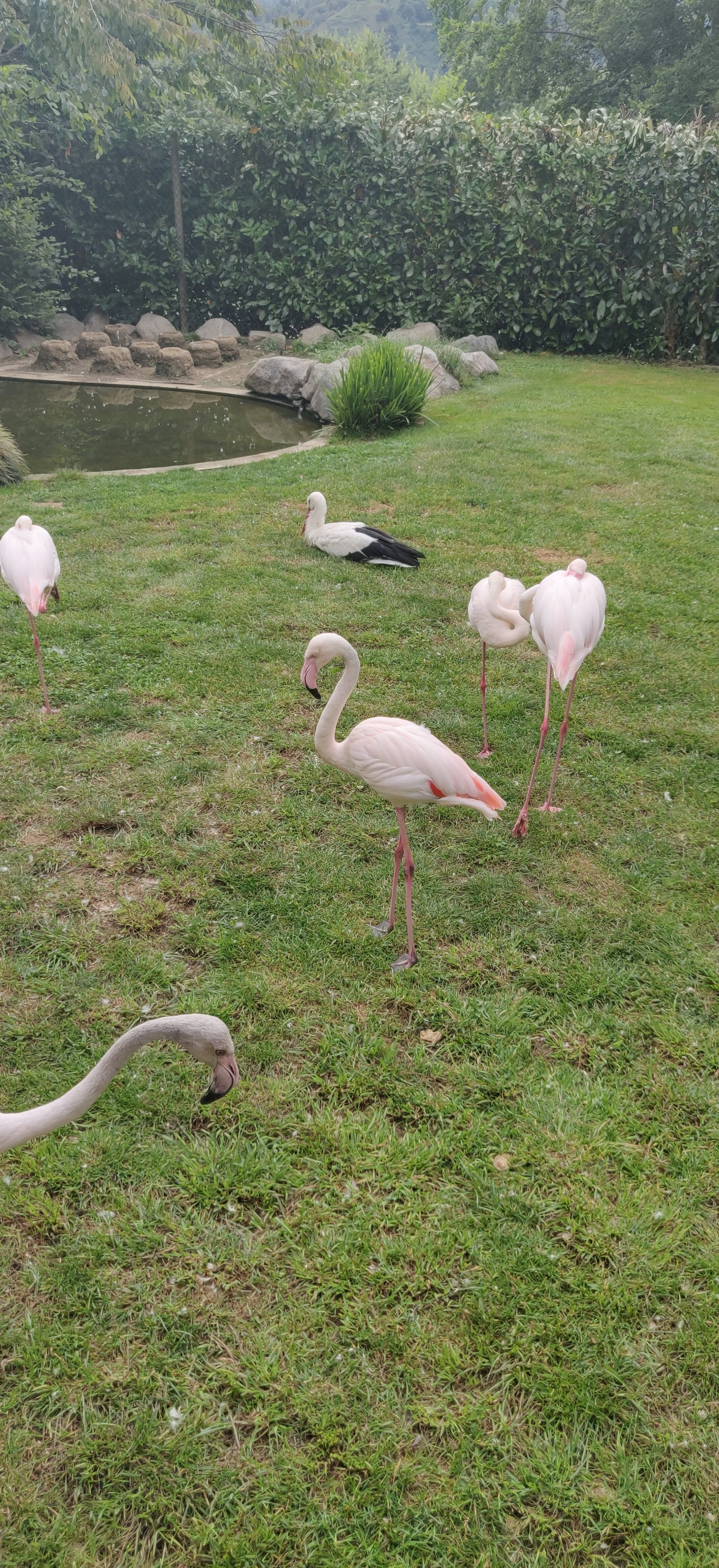 Photo n° 15 de l'avis de Frédéric.o fait le 15/11/2022 à 09:50