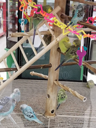 Pet Supply Store «Petco Animal Supplies», reviews and photos, 777 Stillwater Ave, Bangor, ME 04401, USA