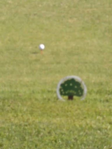 Public Golf Course «San Saba Municipal Golf Course», reviews and photos, 723 County Road 102, San Saba, TX 76877, USA