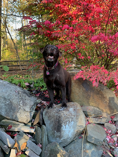 Funeral Home «Wright & Ford Family Funeral Home», reviews and photos, 38 NJ-31, Flemington, NJ 08822, USA