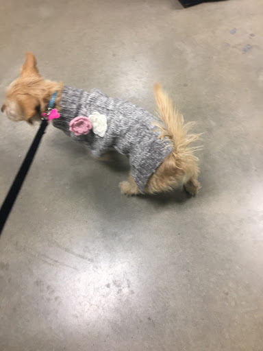 Pet Supply Store «PetSmart», reviews and photos, 540 New York Ave, Lyndhurst, NJ 07071, USA