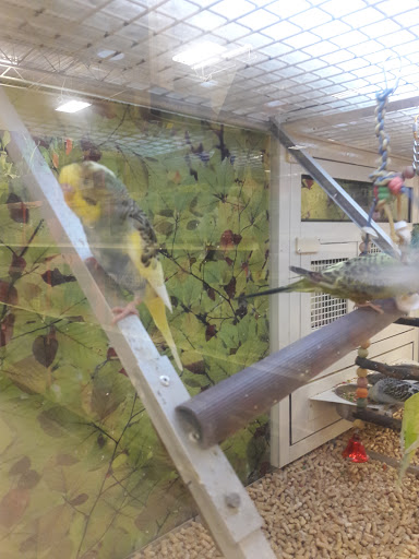 Pet Supply Store «PetSmart», reviews and photos, 13927 New Halls Ferry Road, Florissant, MO 63033, USA