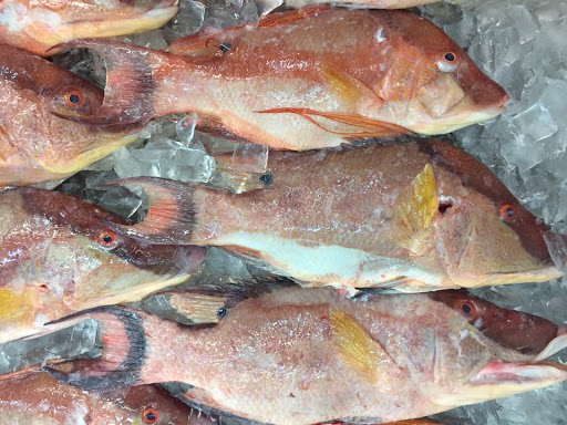 Seafood Market «Key West Shrimp Company», reviews and photos, 7217 Gulf Blvd, St Pete Beach, FL 33706, USA