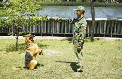 Trung tâm huấn luyện chó Thiên Khuyển