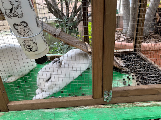 Garden Center «Dees Nursery & Florist», reviews and photos, 69 Atlantic Ave, Oceanside, NY 11572, USA