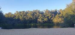 Foto von Playa Fluvial Burganes - beliebter Ort unter Entspannungskennern