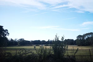 Birley's Pavilion & Playing Fields image