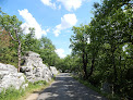 Le Bois de Païolive Berrias-et-Casteljau