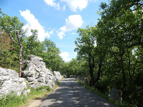 Le Bois de Païolive à Berrias-et-Casteljau
