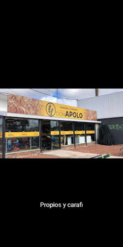 Panaderia Y Confiteria La Nueva Don Apolo - La Paz