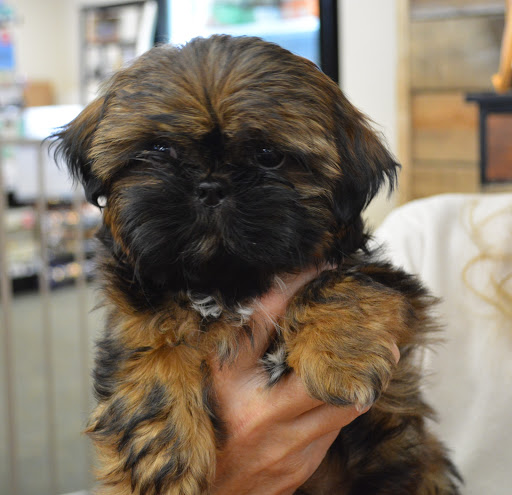 Pet Supply Store «The Natural Pet Enrichment Center», reviews and photos, 6720 Royalton Rd, North Royalton, OH 44133, USA