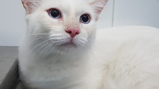 Clínica Veterinaria 4 Vents en Blanes