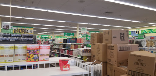 Dollar Store «Dollar Tree», reviews and photos, 3046 Lavon Dr #129a, Garland, TX 75040, USA