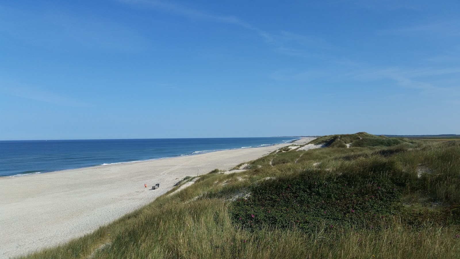 Photo de Sidselbjerg Beach avec un niveau de propreté de très propre
