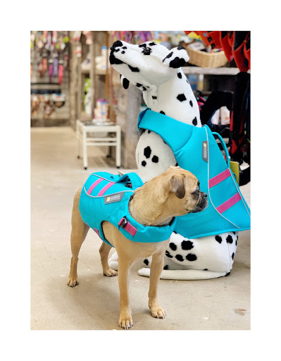 Pet Supply Store «Dog Dish», reviews and photos, 1778 Utica Square, Tulsa, OK 74114, USA