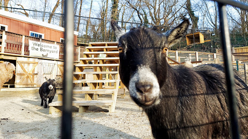 Zoo «Brandywine Zoo», reviews and photos, 1001 N Park Dr, Wilmington, DE 19802, USA