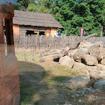 Photo n° 11 de l'avis de loreleï.A fait le 16/05/2023 à 16:17 pour Planète Sauvage à Port-Saint-Père