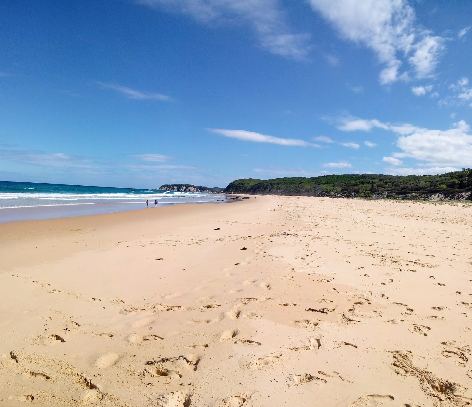 Fotografie cu Gillards Beach amplasat într-o zonă naturală