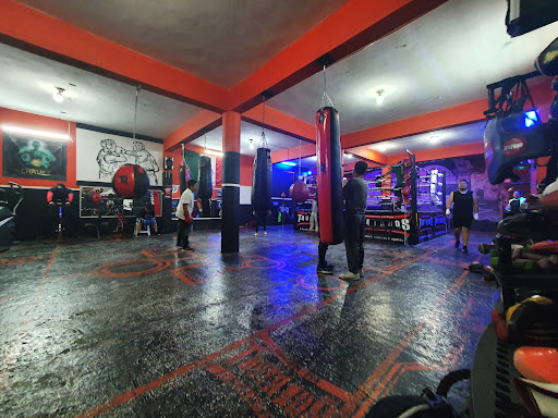 Club de boxeo Tlalnepantla de Baz