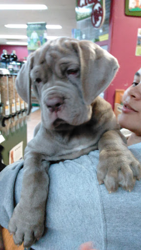 Pet Store «Petland», reviews and photos, 1600 Turner McCall Blvd, Rome, GA 30161, USA