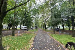 Kopli Cemetery Park image