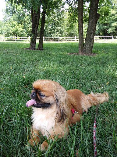 1909 NJ-38, Southampton Township, NJ 08088, USA