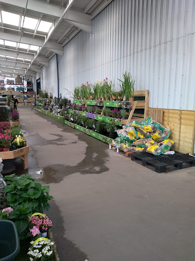 Stores to buy artificial plants Glasgow