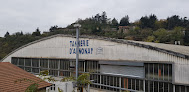 Tanneries D'Annonay SA Annonay