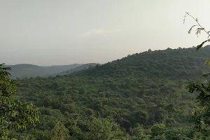 Hill Point View, Bhankhed Road, Amravati image