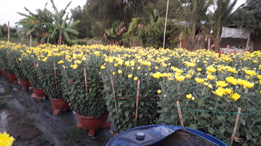 Top 20 cửa hàng thông minh Thị xã Bà Rịa Bà Rịa Vũng Tàu 2022