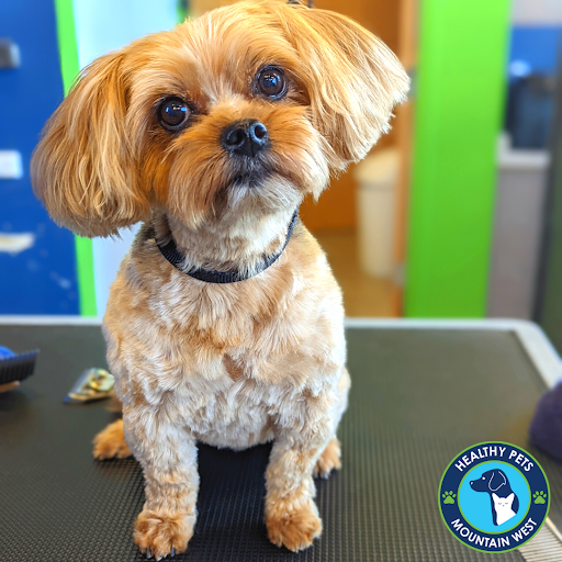 Pet Store «Healthy Pets Mountain West», reviews and photos, 2352 Fort Union Blvd, Cottonwood Heights, UT 84121, USA