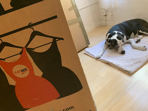 Moving and Storage Service «FlatRate Moving», reviews and photos, 16501 NW 8th Ave, Miami, FL 33169, USA