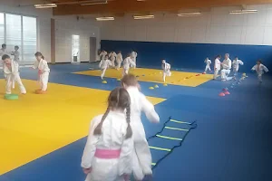 Judo Club Flers Sart image