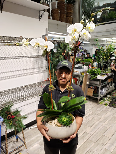 Cheap flower stores New York