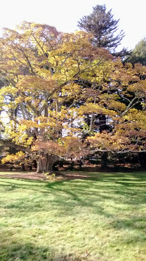 Tourist Attraction «Governor Ames Estate», reviews and photos, 35 Oliver St, North Easton, MA 02356, USA