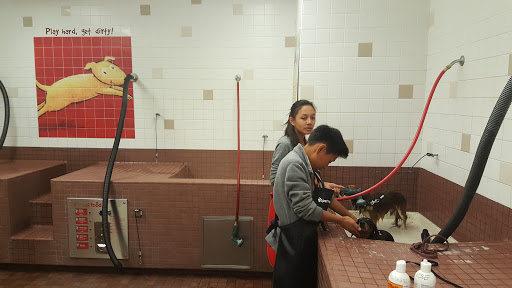 Pet Supply Store «Pet Food Express», reviews and photos, 39010 Paseo Padre Pkwy, Fremont, CA 94538, USA