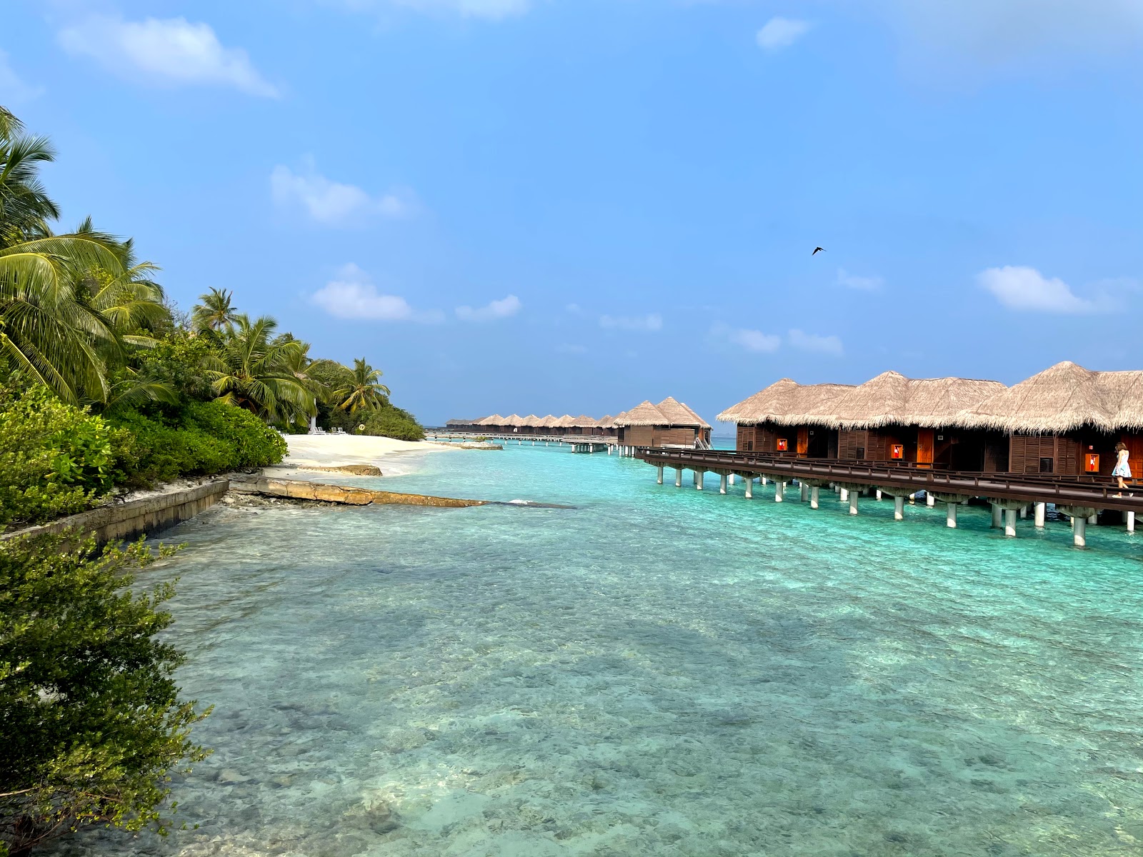 Fotografie cu Sheraton Resort Island - locul popular printre cunoscătorii de relaxare