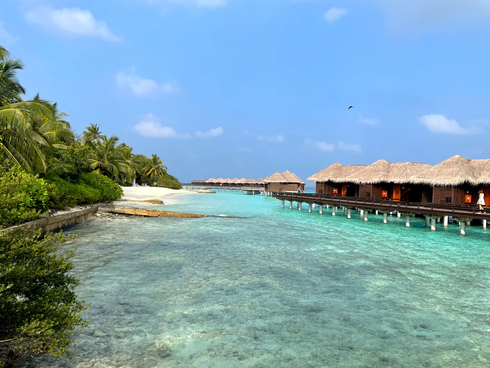 Sheraton Resort Island photo #6