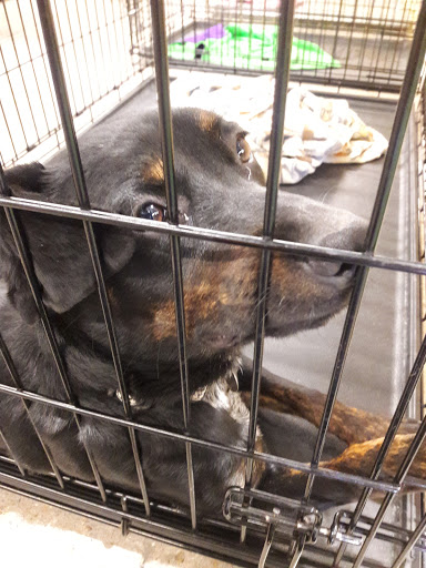 Shopping Mall «Highlands Ranch Shopping Center», reviews and photos, 9255 S Broadway, Highlands Ranch, CO 80129, USA