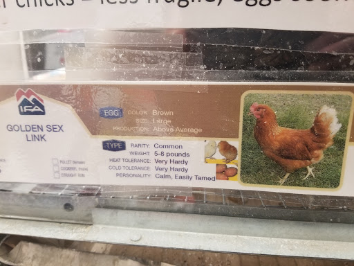 Animal Feed Store «IFA Country Stores», reviews and photos, 1071 Pioneer Rd, Draper, UT 84020, USA