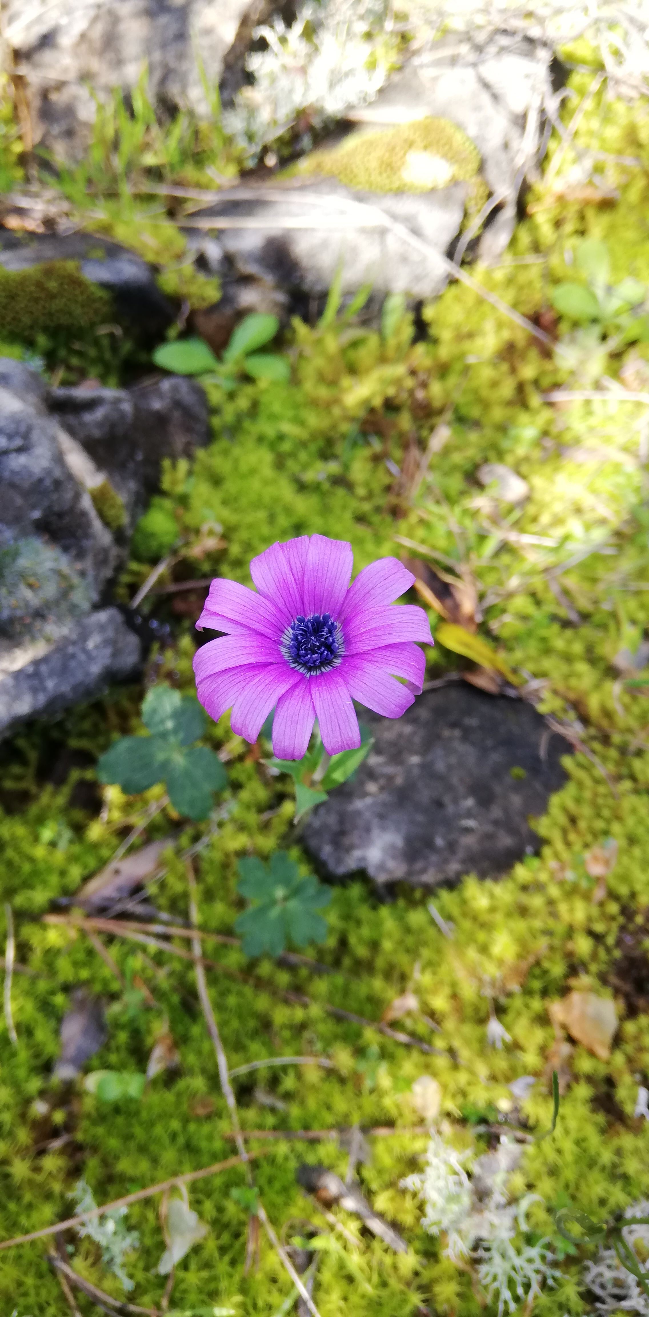 Photo n° 9 de l'avis de Myriam.A fait le 07/04/2019 à 22:11