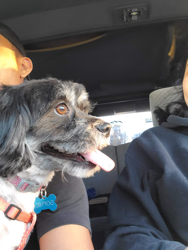 Pet Supply Store «Petco Animal Supplies», reviews and photos, 5215 Lakewood Blvd, Lakewood, CA 90712, USA