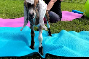 Horse and Goat Yoga image