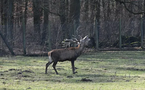 Wildgehege Leidenhausen image