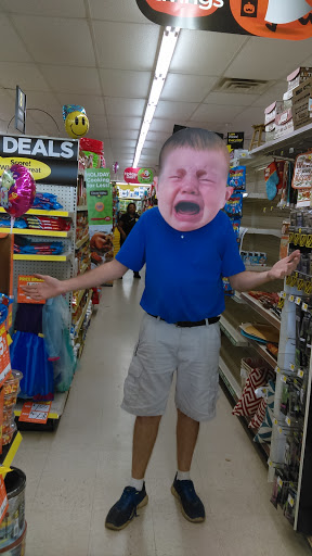 Discount Store «Dollar General», reviews and photos, 572 GA-85, Haralson, GA 30229, USA