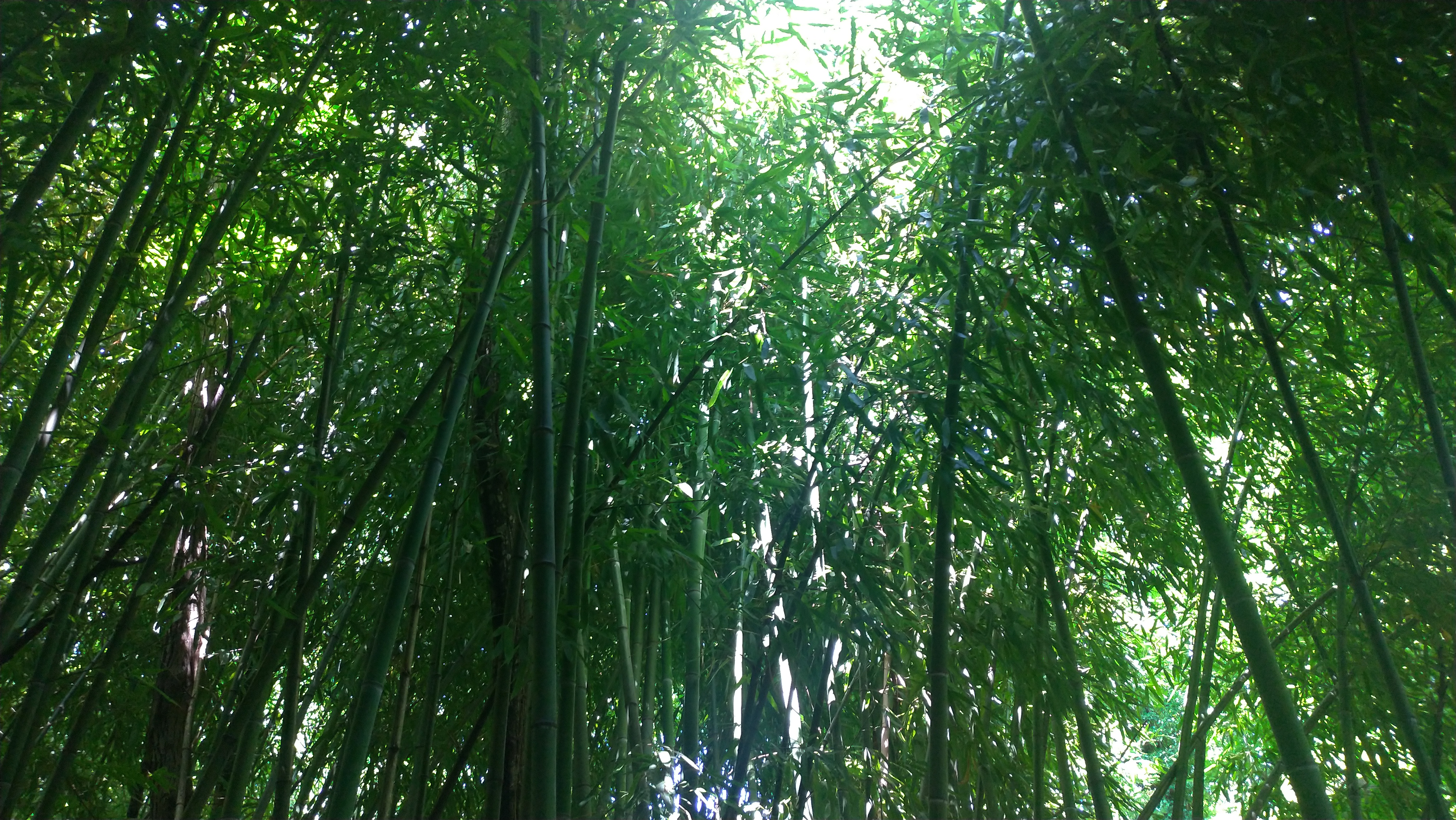 Photo n° 10 de l'avis de Bruno.e fait le 10/08/2021 à 15:08