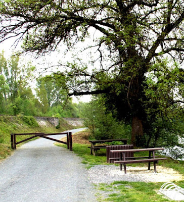 Aire de pique-nique à Saint-Front-de-Pradoux
