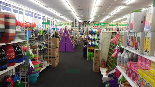 Dollar Store «Dollar Tree», reviews and photos, 2025 River Rd, Eugene, OR 97404, USA