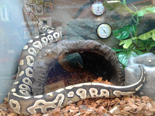 Pet Supply Store «Petco Animal Supplies», reviews and photos, 5975 20th St, Vero Beach, FL 32966, USA